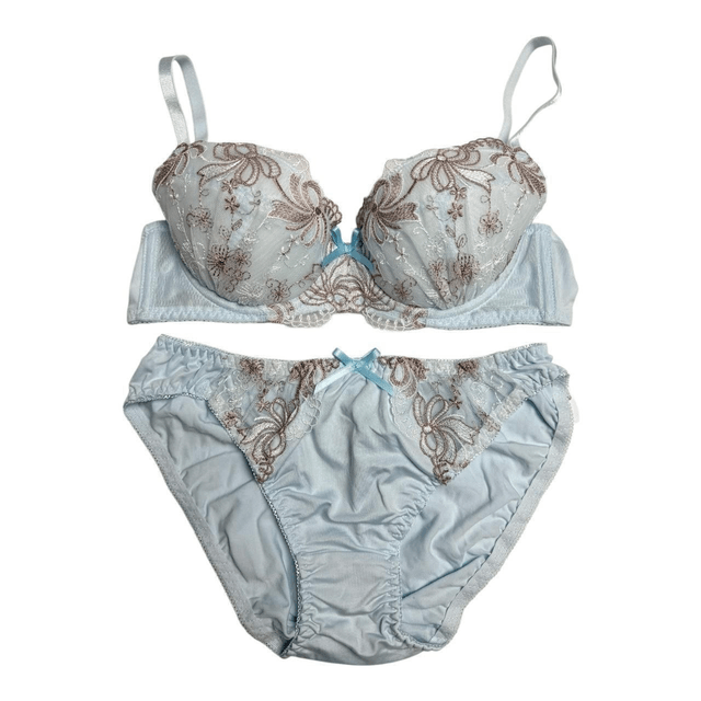 coquette blue bow embroidered bra and underwear set 34A, 36D, 34DD