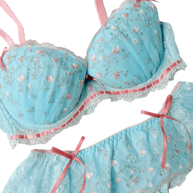coquette floral garden blue and red bow embroidered bra and underwear set UK 34C, UK 32D 