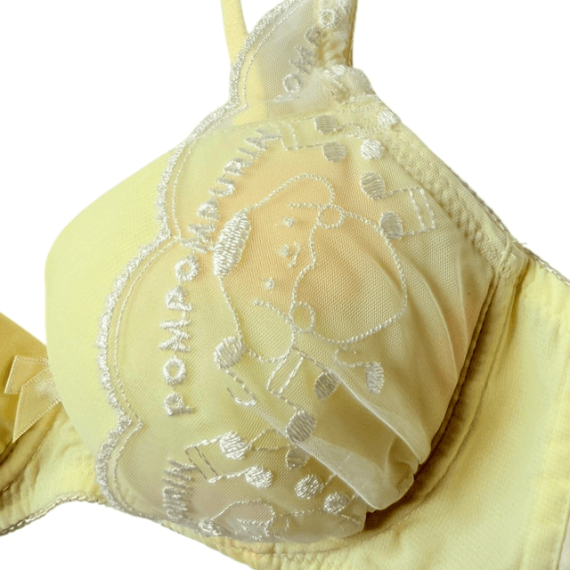 BNWT coquette yellow pompompurin sanrio bra 