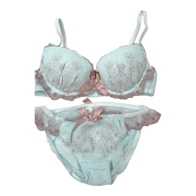 Light blue and brown embroidered Japanese Bra + Underwear Set UK 32B